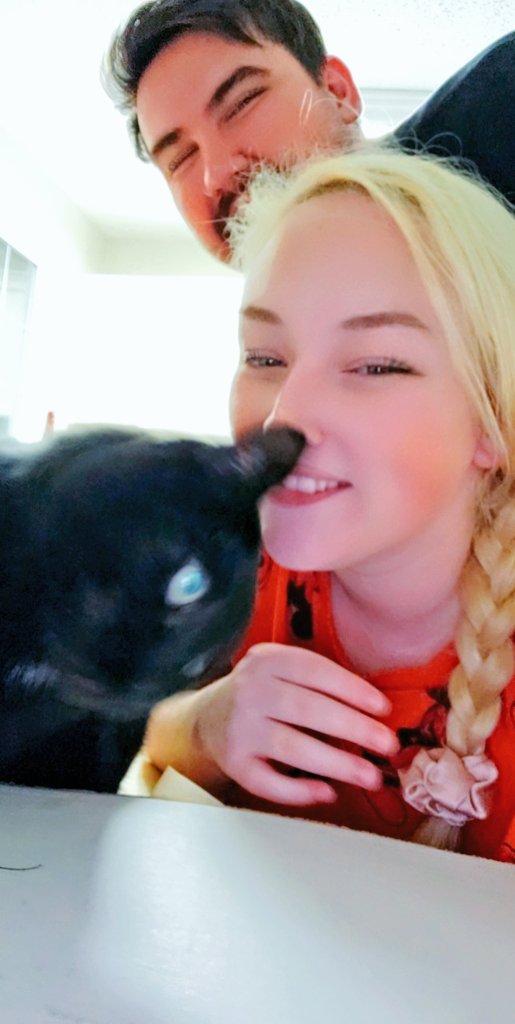 Lucky13Daisy's tweet photo. New home - New roommates. ☮💜 https://t.co/9CXBXddC9D
