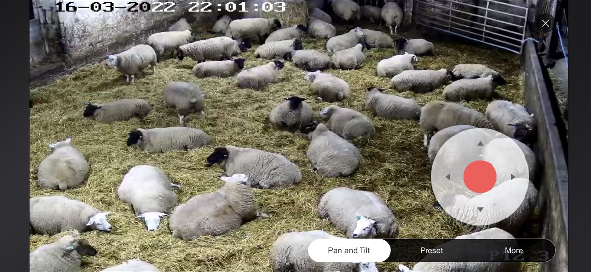 FearnFarm's tweet photo. Unfortunately one of our spring team has had to return home at short notice to cover a family member who’s getting an op. That means we have an opportunity for someone to join us lambing and calving and longer if keen. Please get in touch if your interested and please share TVM. https://t.co/w2jIQoAA1x