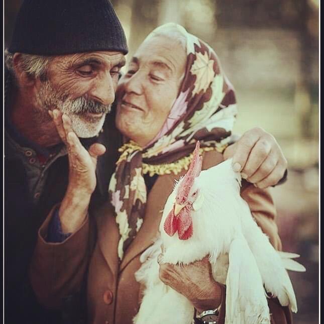 avfatmaoncu's tweet photo. Geçmiş ile gelecek arasında bize bilgi, kültür, irfan ve gelenek armağan eden, değerlerimizi yarınlara taşıyarak bugünlere gelmemizi sağlayan tüm çınarlarımızın #YaşlılarHaftası kutlu olsun. 
Kıymetli büyüklerimize sağlıklı ve huzurlu ömürler diliyorum. @tcailesosyal https://t.co/9tCPg3GHu4