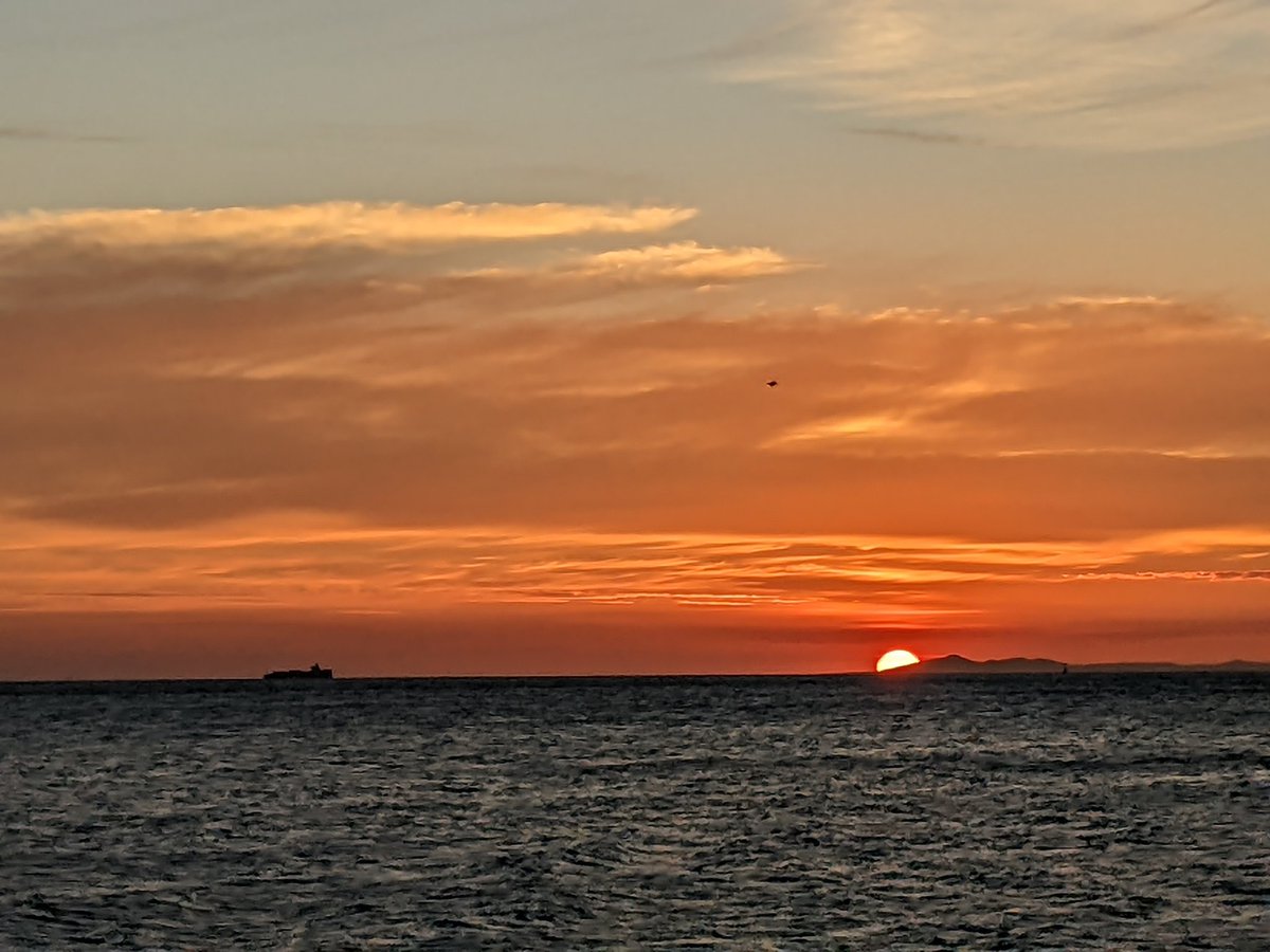 Pea Head S. Williams (@l0l_eric) on Twitter photo 