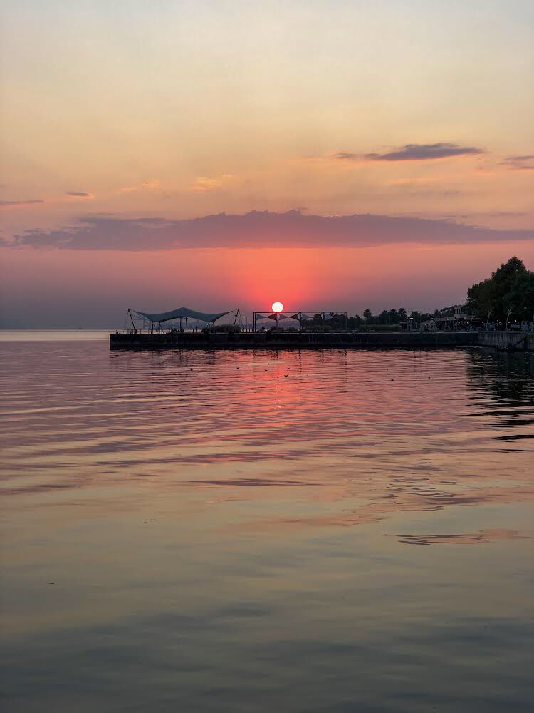 momentCatchers.eth tweet media