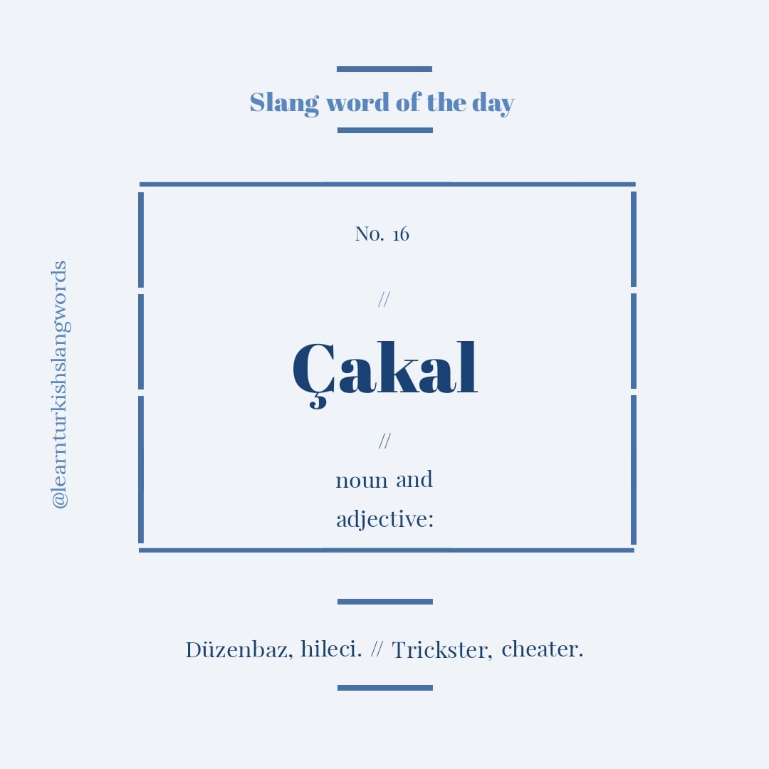LearnTurkishX's tweet photo. SLANG WORD OF THE DAY 😏
.
Çakal [noun &amp; adjective]
.
(Anlamı: Düzenbaz, hileci. // Meaning: Trickster, cheater.)
.
.
 #LearnTurkish #learn #language #tuerkce #Turkey #Turkiye #turkce #todaysword https://t.co/VdjPPIbH8E