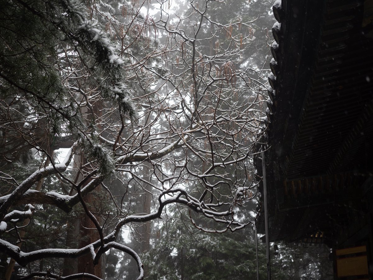 mindandsights's tweet image. arrivée