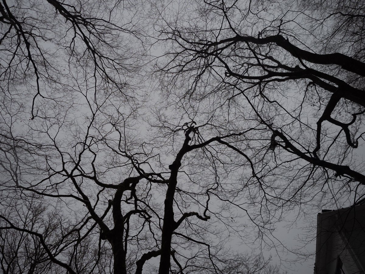 mindandsights's tweet image. arrivée