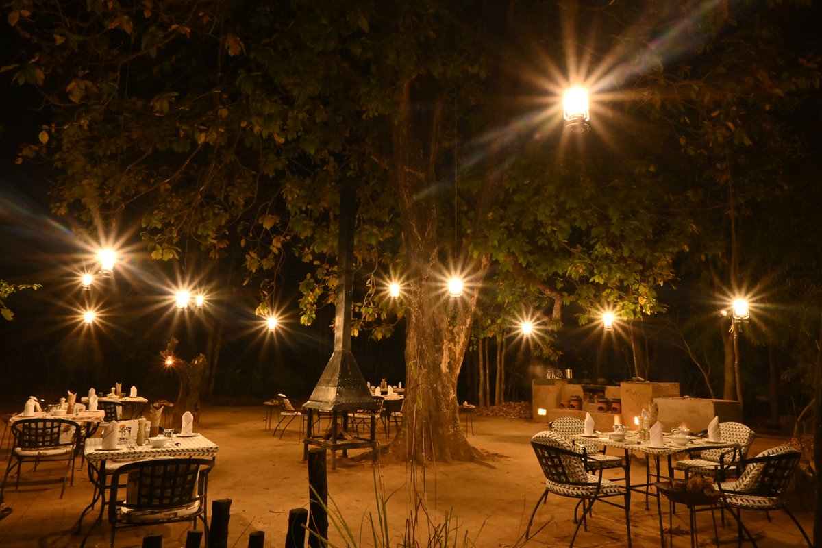 PugdundeeSafari's tweet photo. For many of us, Holidays involve living a long-cherished fantasy.
Our lodge experiences go much far beyond just jungle safari & each day spent at our lodges promises to etch a unique memory for our guests.
#bushdinner at our lodges is one such unique experience.
#withpugdundee https://t.co/lwJ7IhOAjx