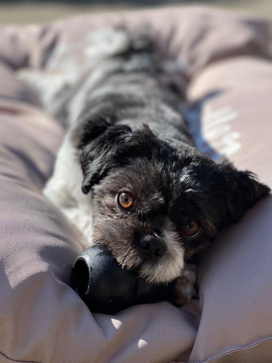 705D4N03 tweet media