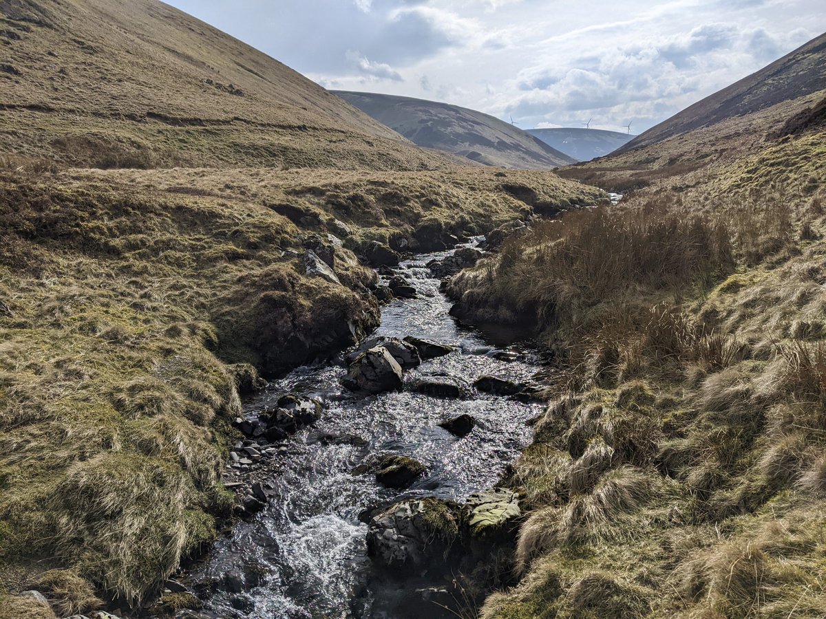 RachelSSteenson's tweet photo. 3 weeks in to my 2nd (3rd?) #phd field season surveying breeding Dippers! 🤩

The slightly earlier start this year means we're able to witness lots of singing, quarrels and nest building activity (missed last year due to COVID restrictions)! https://t.co/EZtbz2ip8R
