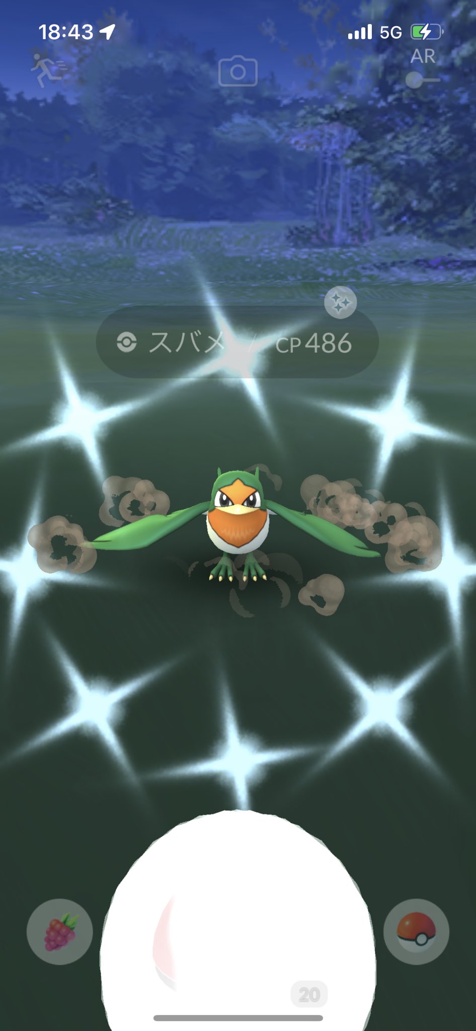 衣 今日の色違いはスバメ ポケモンgo 色違いポケモン T Co M4t1bssgwm Twitter