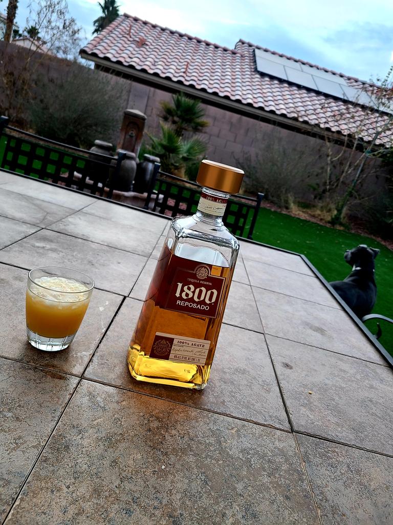 Rollo Tomasi tweet media