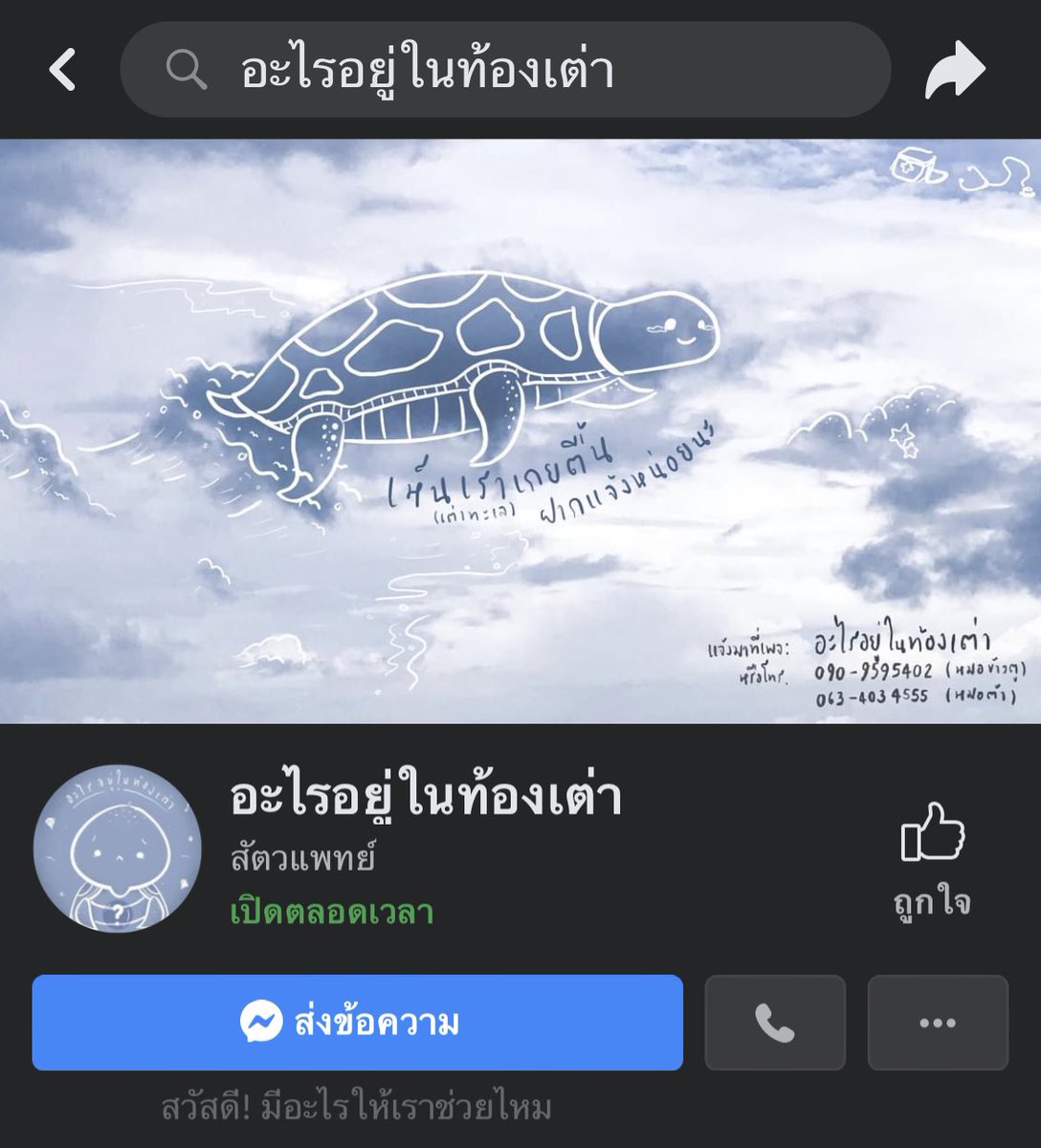 Wowwlog's tweet photo. ถ้าใครอยากรู้ว่าพลาสติก หนังยาง หลอด ที่เราใช้ในชีวิตประจำวันส่งผลอะไรกับเต่าทะเล สัตว์ทะเลตอนนี้บ้าง แนะนำเพจนี้เลยค่ะ แอดมินเป็นสัตวแพทย์ ผ่าซากเต่าแทบทุกวันและเป็นกระบอกเสียงให้ทะเลมายาวนาน ชื่อเพจ อะไรอยู่ในท้องเต่า แล้วคุณจะว้าวมากว่าสัตว์ทะเลพวกนี้ยังดำรงอยู่ในทะเลได้ยังไง https://t.co/xUUOA2yWGl