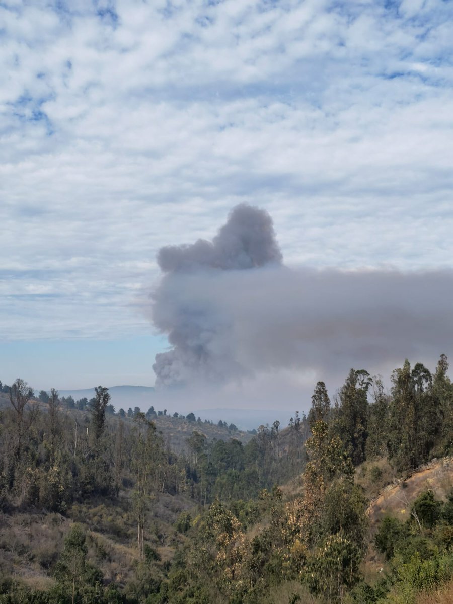 JavierFloresQu6's tweet photo. 🚨 10:52 Estado actual del R20 Laguna Verde. Delta 3-4 Charlie 4, activo en todos sus sectores. Avance y propagación rápida. @CBV1851 junto @incendios_CONAF trabajan en el lugar.
@RNEValparaiso @forestfirechile @redarquiapd @brigadaflorida @juampyro https://t.co/n0XFyoP4Tq