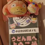 みぃたま🐺🐰🐸逃走中低浮上/816MWAM名古屋/サマソニ2d/軽度のDヲタ/ヤドン飼いのツイート画像