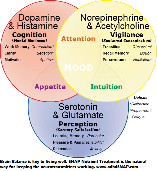 SNAP4ADHD's tweet photo. Get to know your brain's neurotransmitters and their important functions. Brain Balance is key to living well. SNAP Nutrient Treatment is the natural way for keeping the neurotransmitters working. https://t.co/DIpRW99GjS
#SnapHelps https://t.co/4GFYgp7nkd