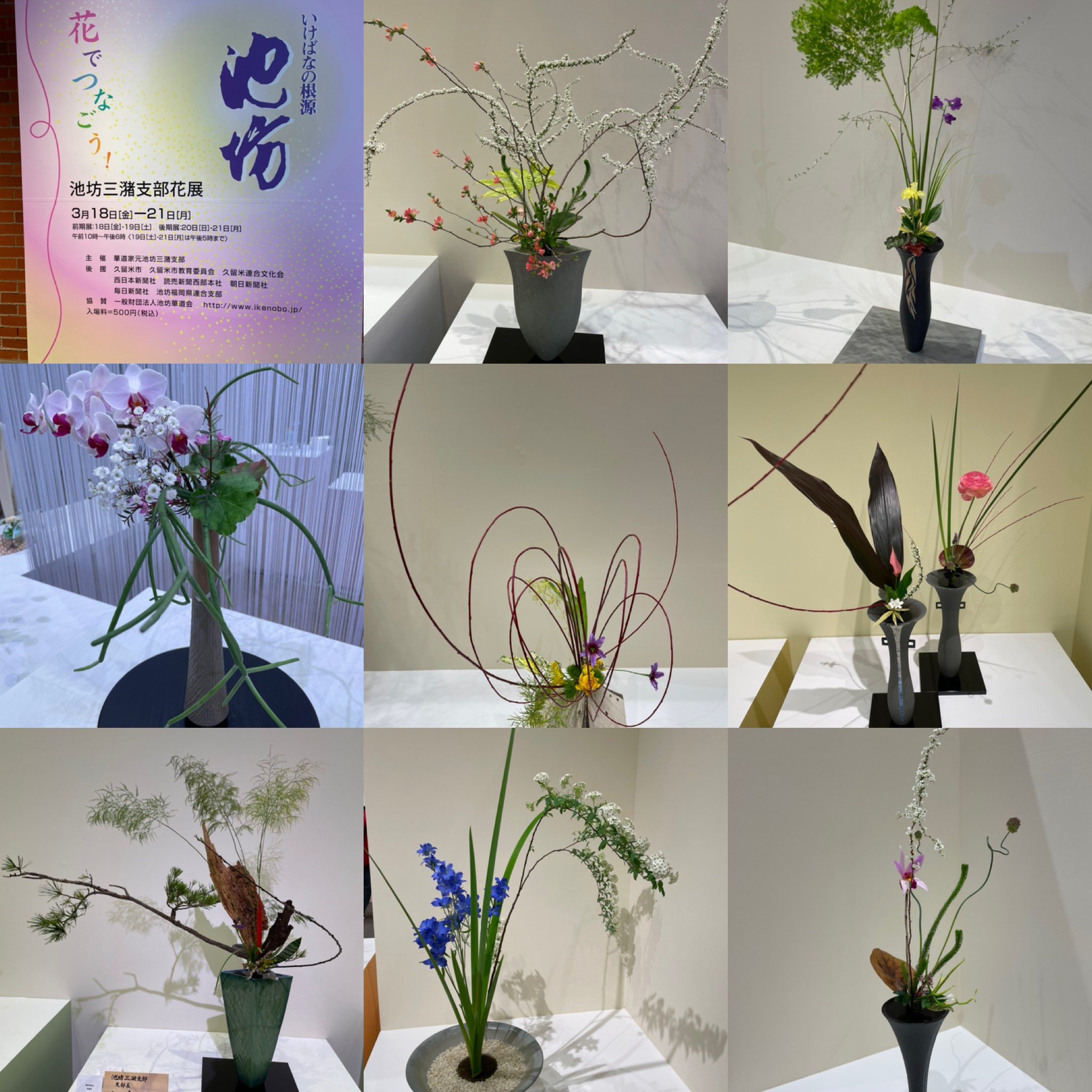 中嶋順子 なかしまじゅんこ Jj福岡フリーアナ Ana Junko Twitter