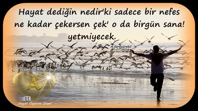 a_sertyurekli's tweet photo. Hayat dediğin nedir ki sadece bir nefes, ne kadar çeker ise çek o da bir gün sana yetmeyecek.✍️
(25 07 2016)
Ahmet Sertyürekli söz ve yaz Mersin Turkish 🇹🇷☕ https://t.co/928UNxQkZ8