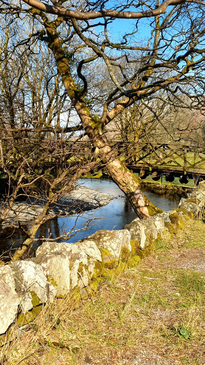NotBadForHerAge's tweet photo. Post covid 10km trail run with #WildDeerEvents around Grasmere and Rydal water this morning. Breathing was ok, but legs very heavy. No pb's for me, just glad to get around 😀☀️🏃🏻‍♀️#postcovidrunning #trailrunning #running https://t.co/XExsnFBOVV