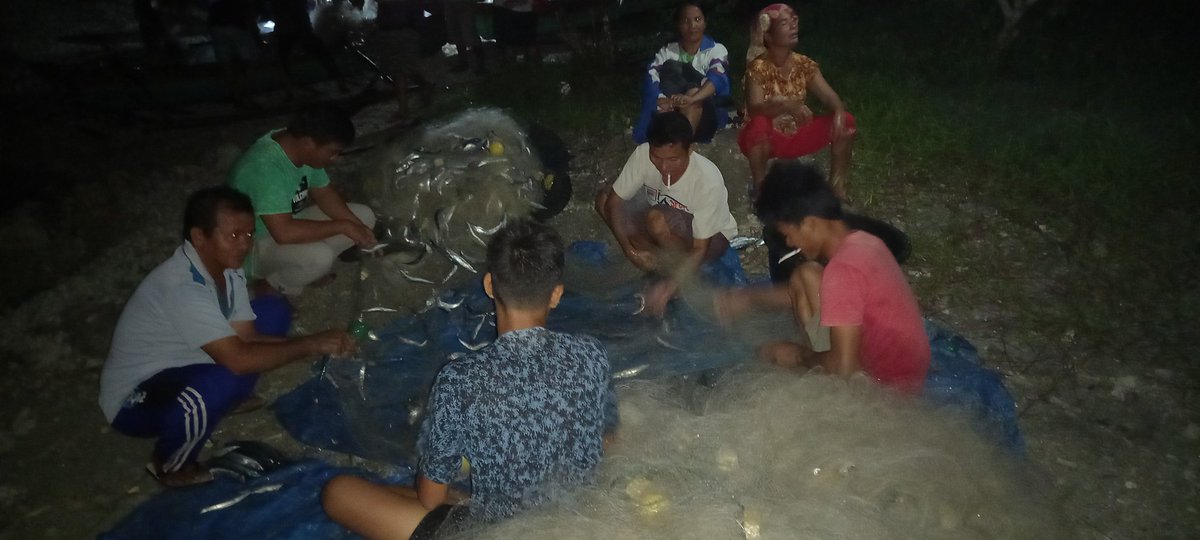 samuel15032016's tweet photo. Sabtu (19/03), Samuel, Luhkan Kab. Nias Utara, di KUB Saudara Ds. Siofabanua, melaporkan hasil tangkapan ikan Julung-julung, dengan alat tangkap jaring, bulan maret 2021, sebanyak 800 kg, dengan jual beli 12000/kg
#GiatLuhkanSatminkalMedan #DsSfb #Tangkap https://t.co/t5ImwAcACK