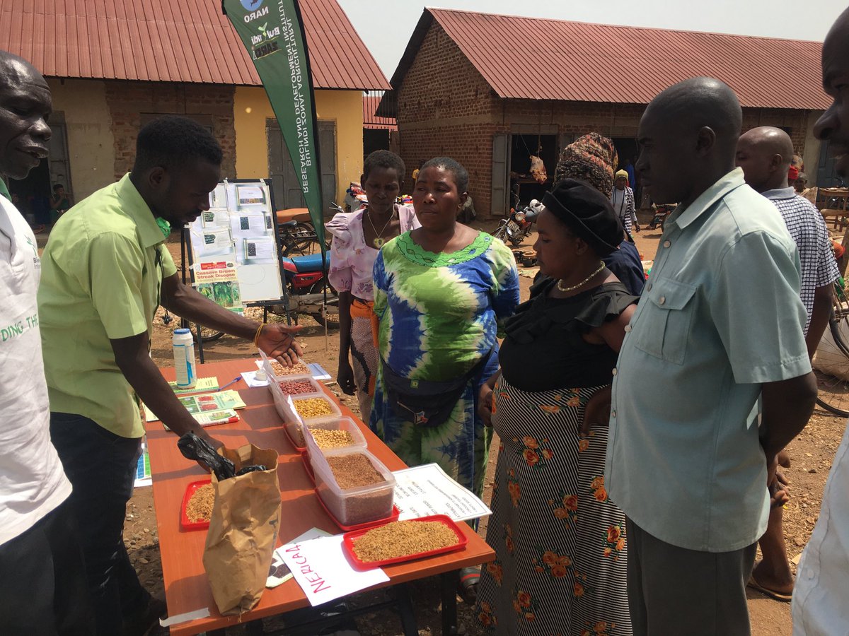 Bulindi ZARDI tweet media