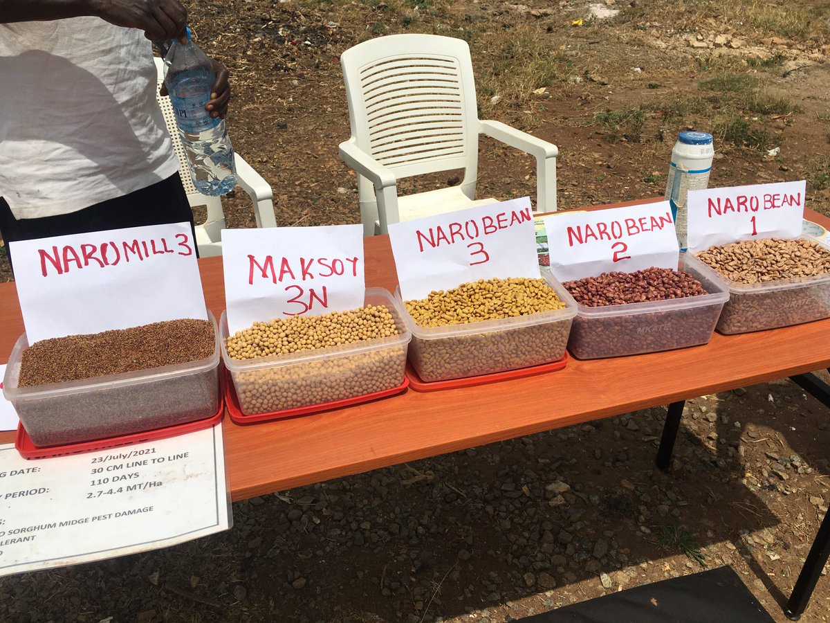 Bulindi ZARDI tweet media