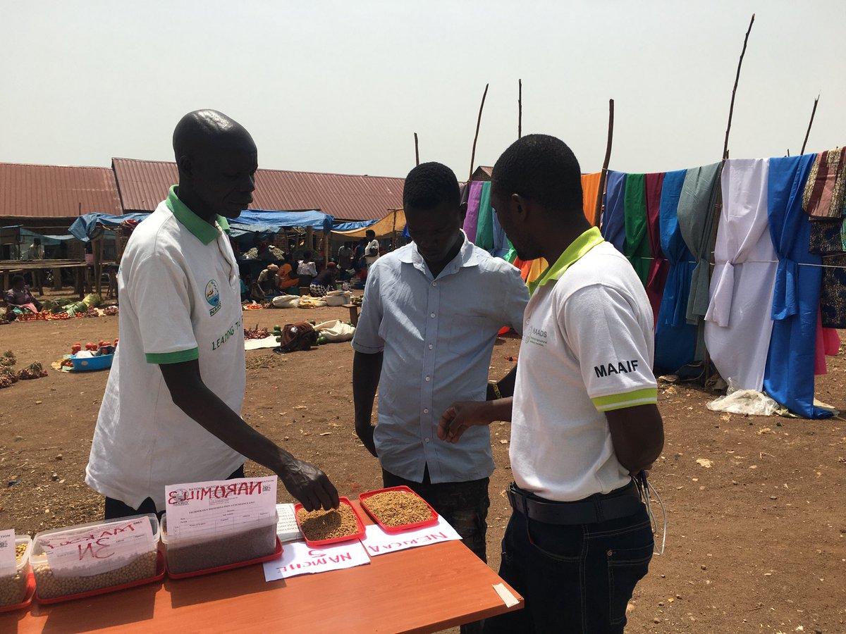 Bulindi ZARDI tweet media