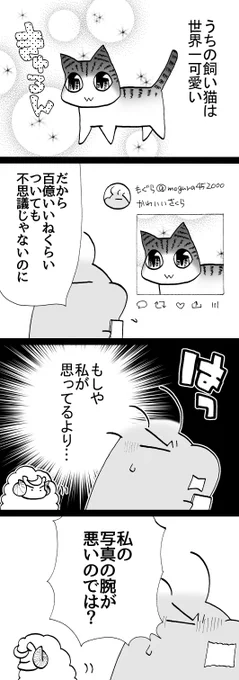 四コマ「さくらは可愛い(事実)」

二枚目が飼い猫・さくらの写真です。
ほら可愛い。

#御かぞくさま御いっこう #四コマ漫画 