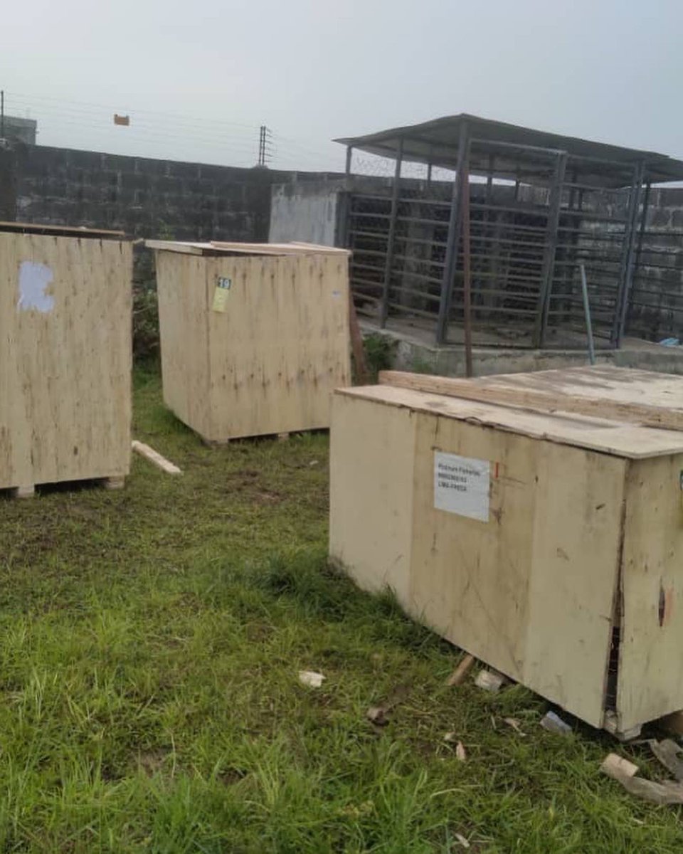 PlatinumFishNG's tweet photo. We are so excited about our big delivery to the farm! 🥳

At Platinum Fisheries, we are committed to integrated processes  and operations that assures efficiency, quality and continuity.

#Unboxing day now loading. Watch this space! 💫 https://t.co/GedcDtI0dc