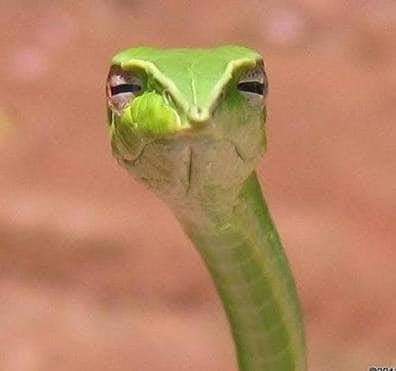 andyjax63's tweet photo. When someone replies to your tweet and you can't tell if they're joking or being totally serious. https://t.co/vFsogw7Jbf