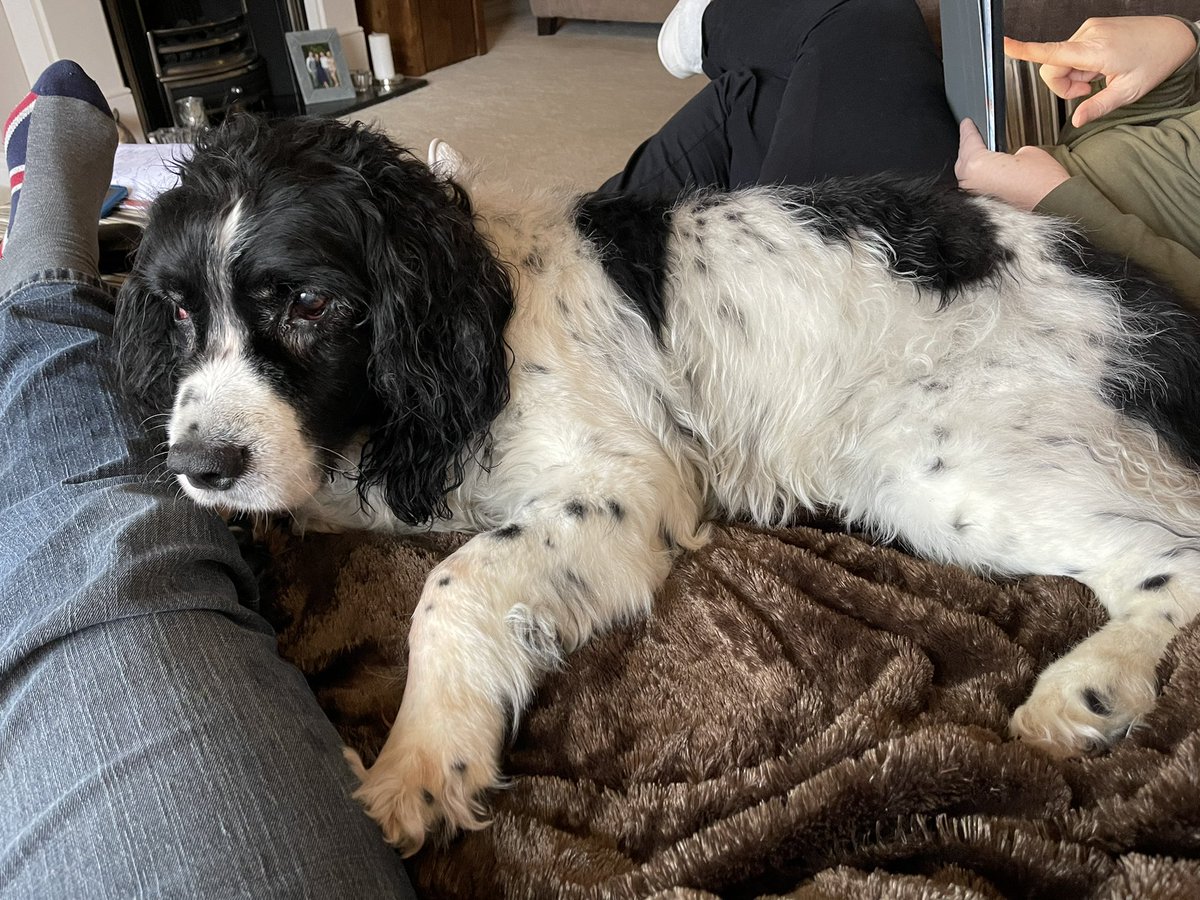 Saturday snoozes team x