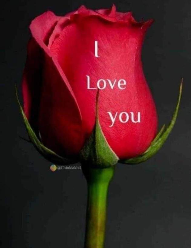 Rahman Khan (@rahmank76429256) on Twitter photo 