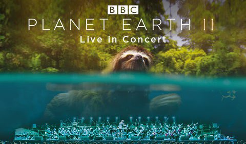 kerrylnorris's tweet photo. @PlanetEarth2UK was incredible last night. The orchestra was amazing. Highly recommend it 🌍 https://t.co/wYgWb6123n