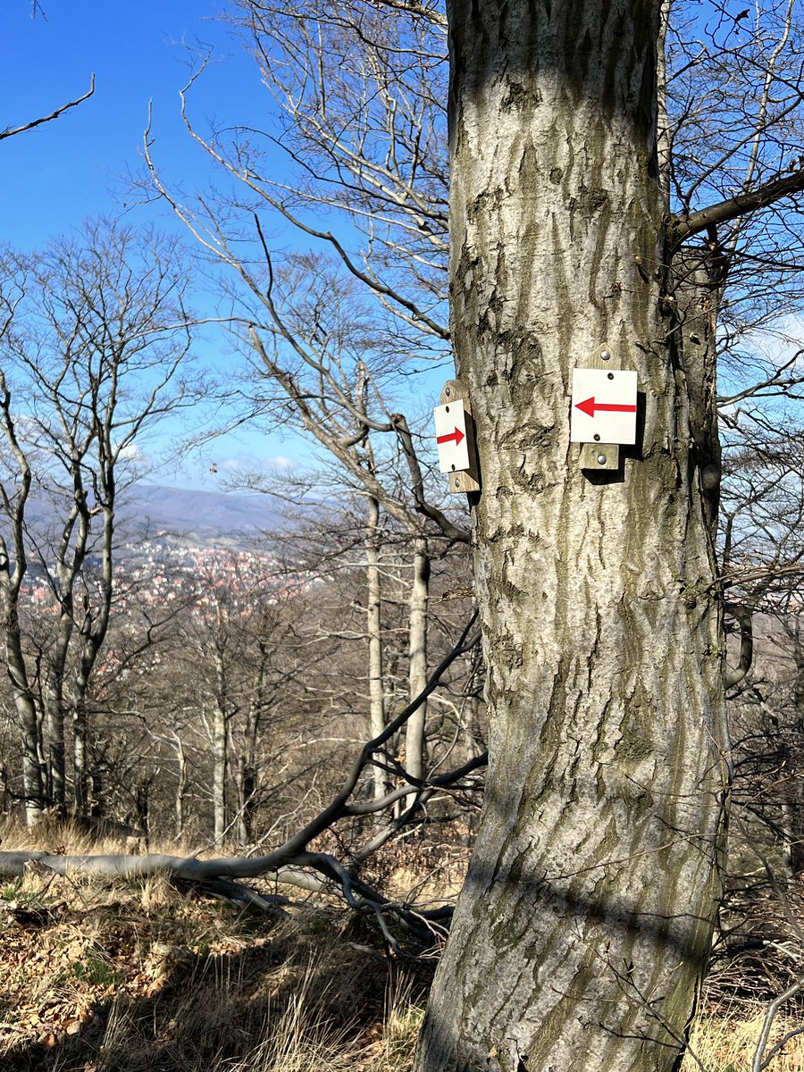 VerenaAusBS's tweet image. ➡️⬅️🤔 #derwegistdasziel #Harz