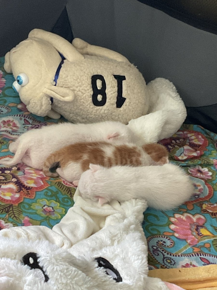 สามก้อน