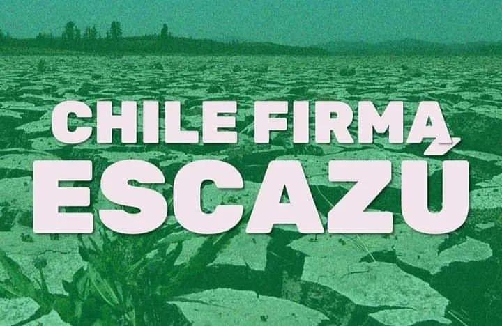 ChiledespertoI's tweet photo. 📣 Presidente Gabriel Boric firma el proyecto de acuerdo para aprobar el #TratadoDeEscazú que
garantizará los derechos de las personas defensoras de derechos humanos en asuntos ambientales https://t.co/LKNqEWc7Ww