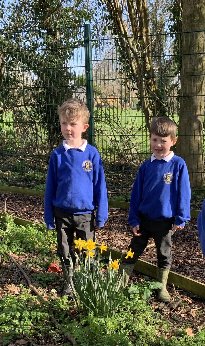 @MrsHannStMSch tweet media