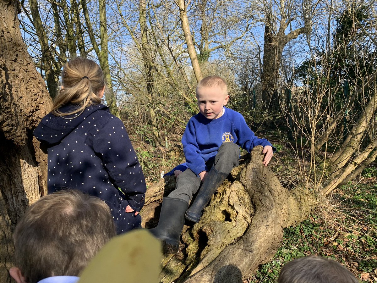 @MrsHannStMSch tweet media