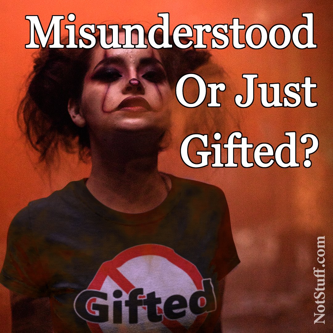 NotStuff_Com's tweet image. Available at redbubble.com/shop/ap/594378…

I'm not gifted -- are you?

 #ignorant #ignorantpeople