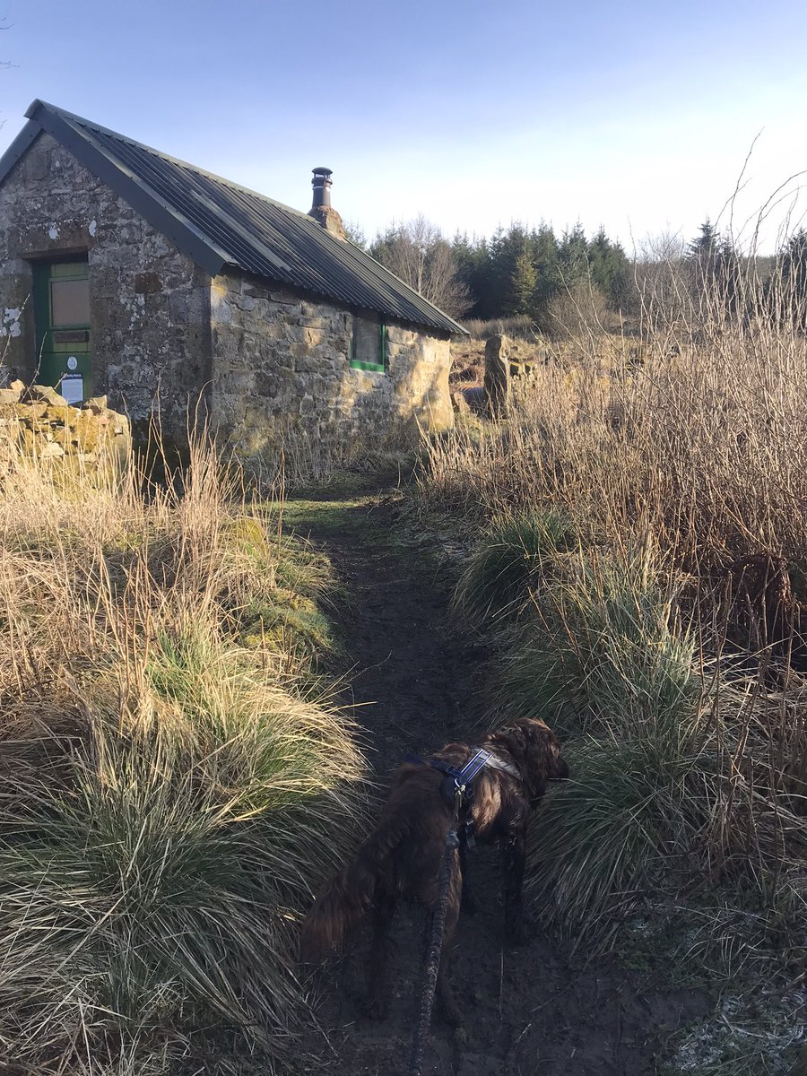 helz1980's tweet photo. Checking out the local accommodation 👌🏻 #bothys #Northumberland https://t.co/eim8B0kd5q