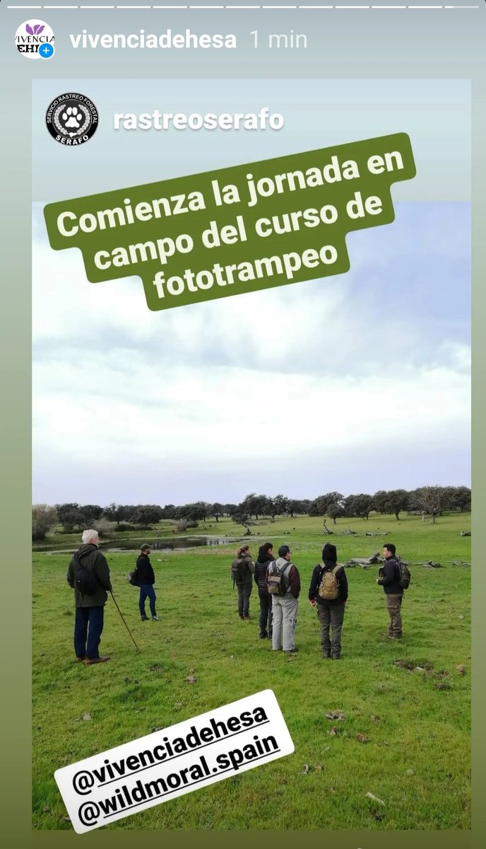 Vivencia_dehesa's tweet photo. Comienza el curso #emeraf de Fototrampeo y Rastreo de Fauna. Buen día para todos desde #ValdepajaresDeTajo !
Con #Wildmoral y #Serafo @Vivencia_dehesa https://t.co/kLYcOCtZGj