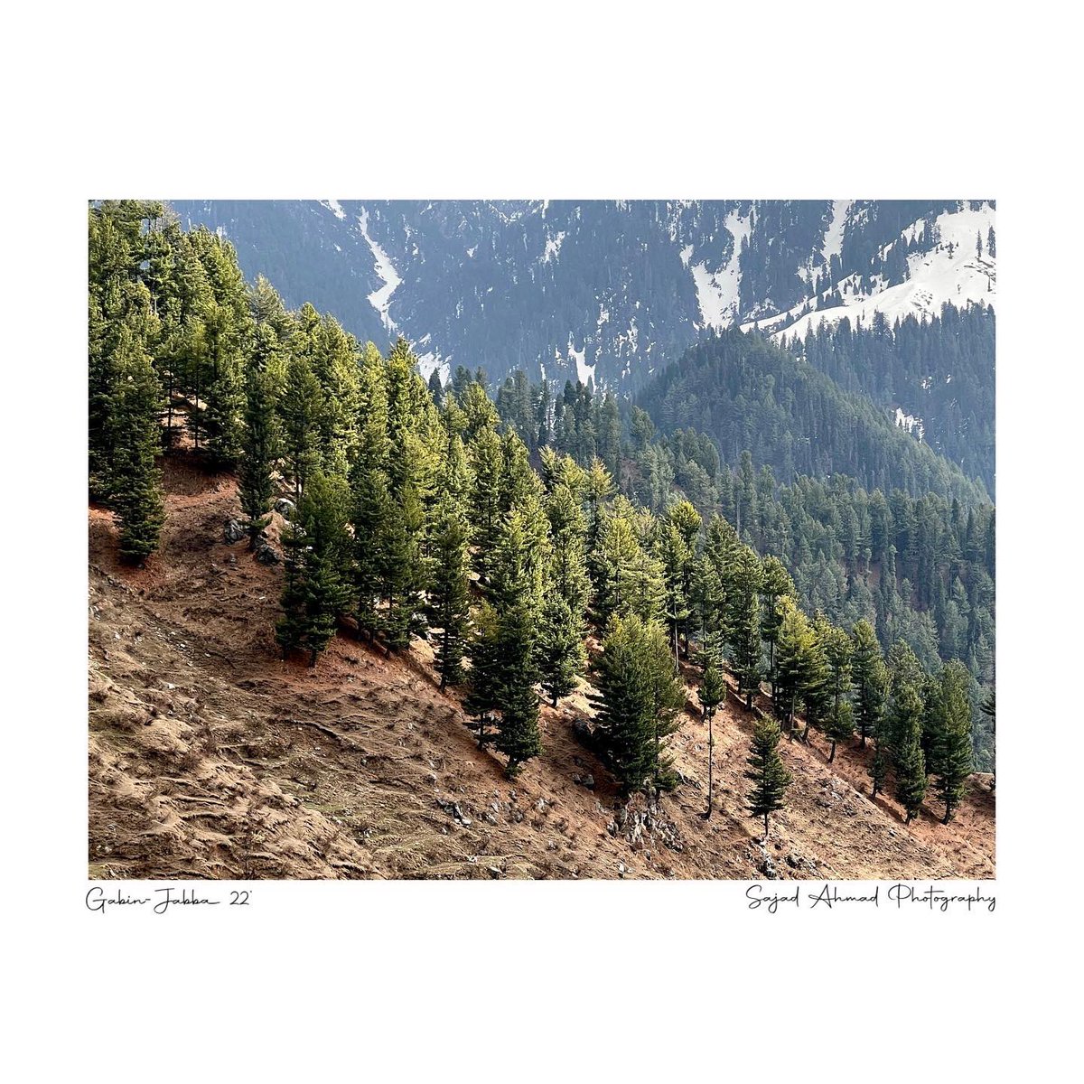 SAhmadPhoto's tweet photo. Gabin-Jaba @ #swatvalley 
Full of rugged mountains with granite base and pines, this area produces some of the tastiest peaches and is abundant in fresh water fisheries breeding #familydocwithcamera #justgoshoot #landscapephotography  #scenicview #earthpix #discoverlandscape https://t.co/XrBrXBiRQA