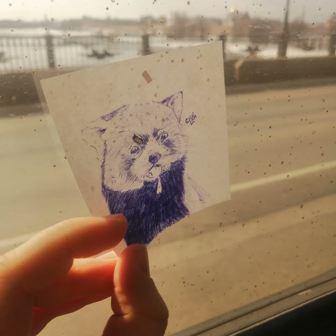 CLIV_KA's tweet photo. Срисовочка со школы, пыталась в атмосферность, уж нравится мне приближающееся тепло ٩(๑･ิᴗ･ิ)۶

#redpanda #art #sketch #animal #арт #краснаяпанда #скетч https://t.co/qbzdFHUwZF