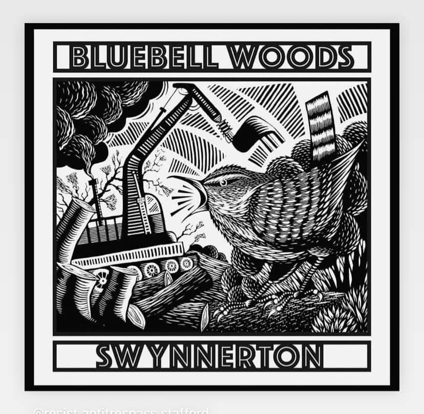 Hs2Rebellion's tweet photo. TODAY: Events include workshops, an ecology walk, crafts, climbing, music and great company #BluebellWoodsProtectionCamp Open Weekend : The Last Stand 
(ST15 0QS)
If you can't attend please consider giving: https://t.co/eZPWHMGIQp

Join the resistance against HS2 
#StopHS2Ecocide https://t.co/2Gv0rYTINq