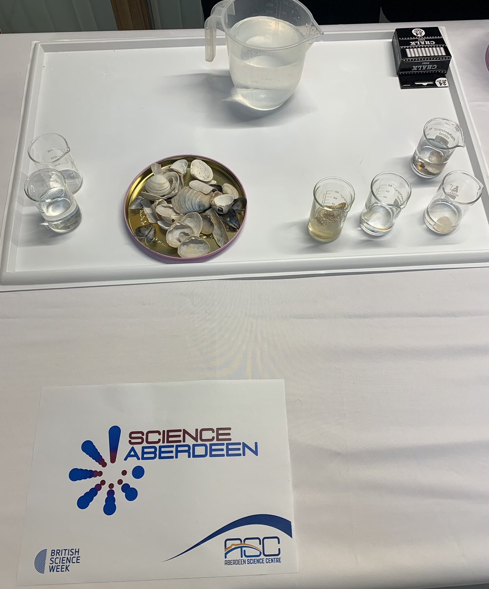 JoRobertson_'s tweet image. Ready to go for discovery day today at @AberdeenSci looking forward to our STEM activities today as a member of Science Aberdeen 🧪 with @jen_scott @Maha_Abhi @RE8682 @barbara_gorgoni + Kostas come down and say hi 👋🏻 #STEM #BritishScienceWeek2022 #discoveryday #scienceaberdeen