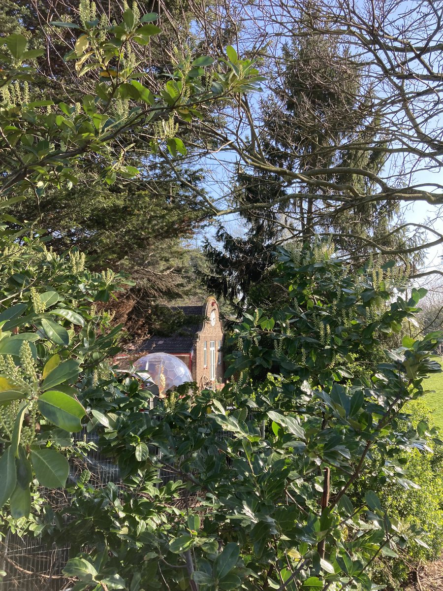 Francesca Zita tweet media