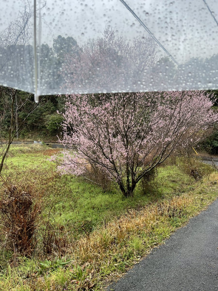 zicheviss06's tweet photo. 【千葉⇒福岡徒歩チャレンジ31日目】
新山口⇒山陽小野田市

昨日より荒れた天気で乾かした靴が一瞬でずぶ濡れになった時は屈辱的だった
それでも残りわずかだと思ってなんとか1日を過ごせた
ここまで諦めないで良かった
明日最終日を迎えられる

https://t.co/dO31H59NDj

 #千葉 #福岡 #徒歩 #山口 https://t.co/KyVmI9IC9g