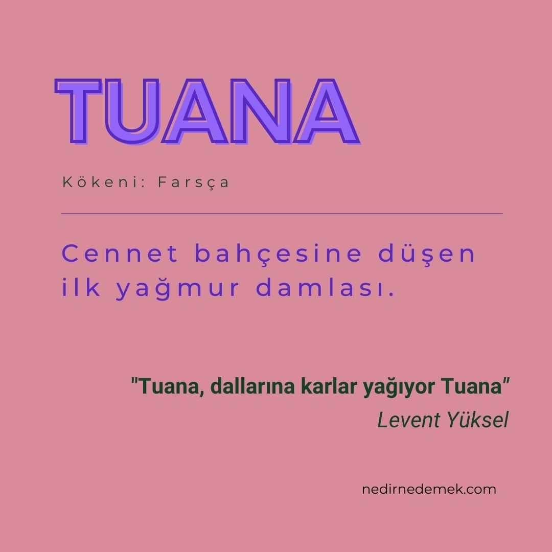 Nedirnedemekcom's tweet photo. Şarkılarda geçen güzel kadın isimleri ve anlamları

https://t.co/8LTK1cxj8n https://t.co/57jJRhe6K7
