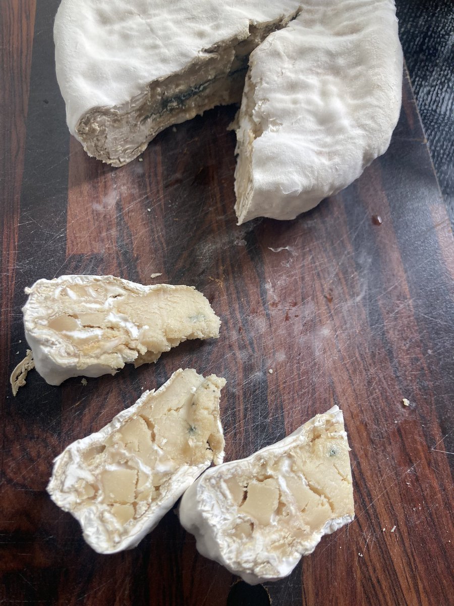 luckow's tweet photo. Tasting time: 5 weeks old #cashewbert. A bit dry, but smells and taste like #cheese. #yummy #vegan https://t.co/8DEpyL25Tm