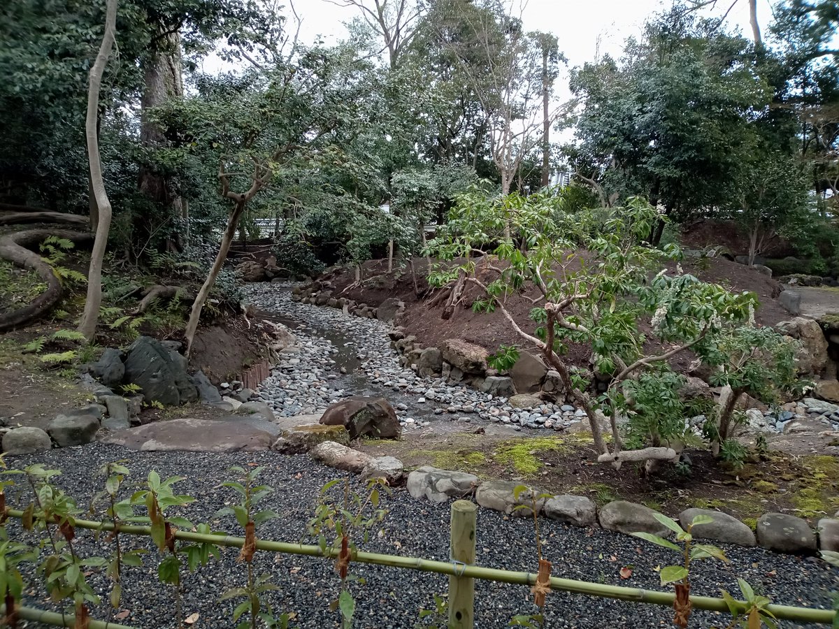 so_e794's tweet photo. 京都御苑の近衛邸跡の糸桜、早咲きの方は開花しました。満開は一週間後くらい。池の改修工事も終わって綺麗になってました。
#京都御苑,#近衛邸跡,#糸桜,#枝垂れ桜,#近衛の糸桜,#改修工事 https://t.co/Pp15nIfLHJ
