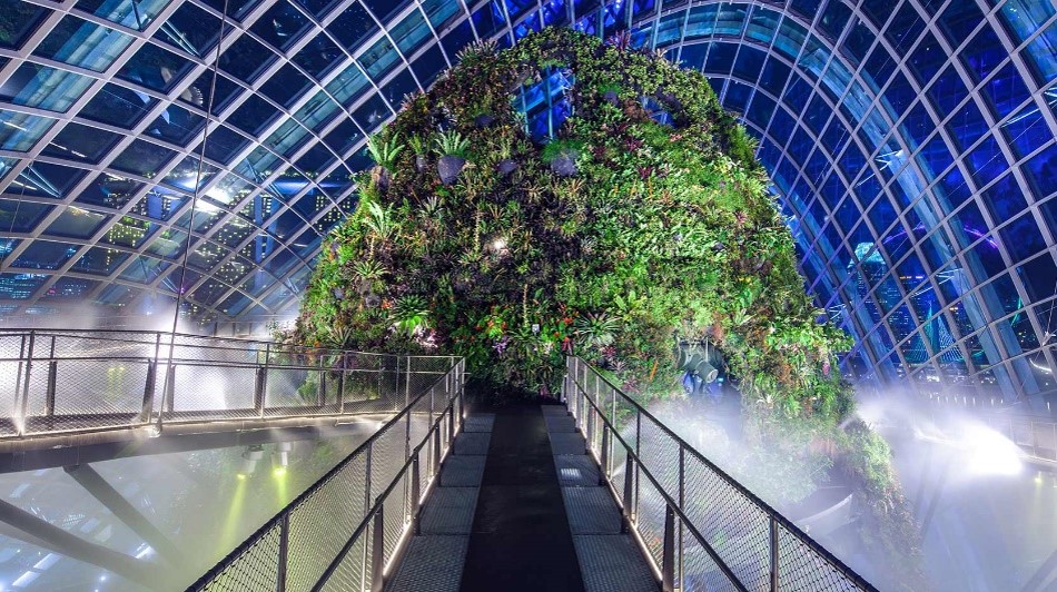 VisitSingapore UK (@visitsg_uk) on Twitter photo Get up close and personal with nature at <a href="/GardensbytheBay/">gardensbythebay</a>'s Cloud Forest. Discover one of the tallest indoor waterfalls and some of the world's most exotic plants. Have you meandered through the Forest's aerial walkways? We'd love to see your sky-high pics📷
#VisitSingapore Get up close and personal with nature at <a href="/GardensbytheBay/">gardensbythebay</a>'s Cloud Forest. Discover one of the tallest indoor waterfalls and some of the world's most exotic plants. Have you meandered through the Forest's aerial walkways? We'd love to see your sky-high pics📷
#VisitSingapore