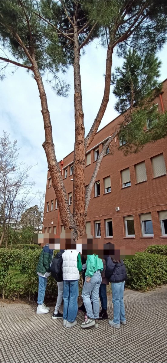 Ayer nuestr<a href="/s/">『S』</a> alumn@s de 6° pasaron la mañana en el IES Parque Lisboa. Se lo pasaron genial y disfrutaron con la experiencia. Gracias <a href="/IesParque/">IES Parque de Lisboa</a> por hacer el paso al Instituto más fácil para nuestr@s niñ@s <a href="/AlcorconEduca/">Concejalía de Educación</a> <a href="/educacmadrid/">Educación▪️Comunidad de Madrid</a>