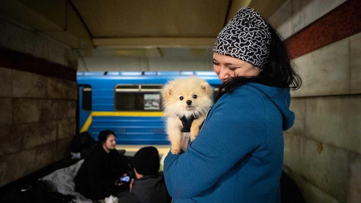 Reptilien31's tweet photo. people living in the Kiev metro are not giving up
#Ukraine #StandWithUkraine 
https://t.co/PtHFhxYZYX https://t.co/ZURatwwvSK